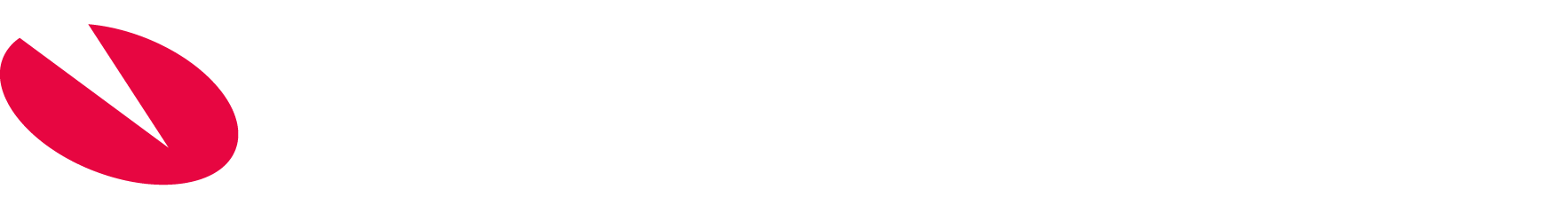 Visma Dinero